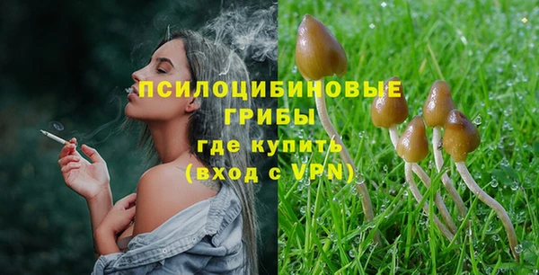 PSILOCYBIN Белокуриха