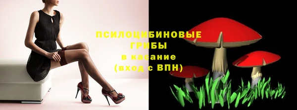 PSILOCYBIN Белокуриха