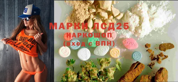 PSILOCYBIN Белокуриха