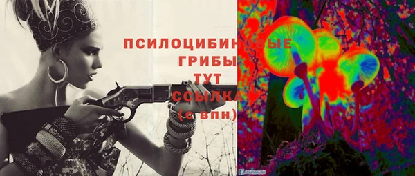 прущий лед Белоозёрский