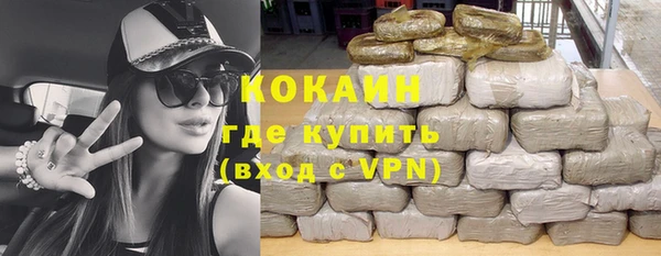 PSILOCYBIN Белокуриха